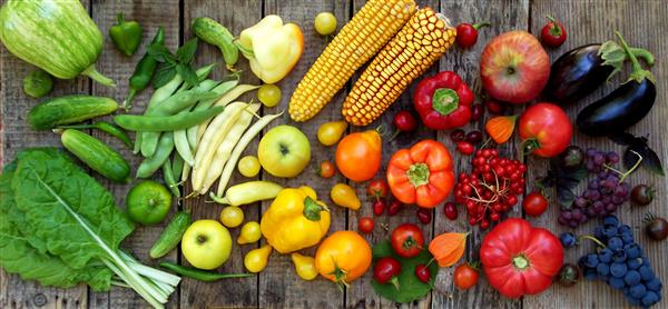 Healthy Foods Healthy Foods